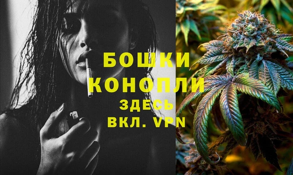 гидра Карпинск