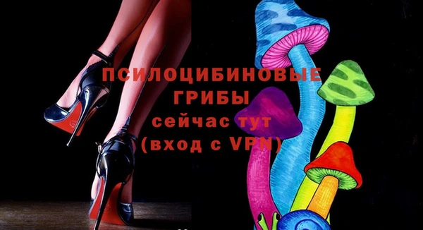 гидра Карпинск