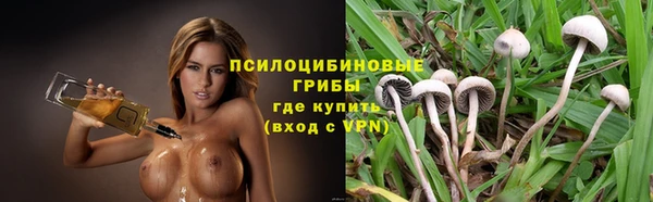 гидропоника Карталы
