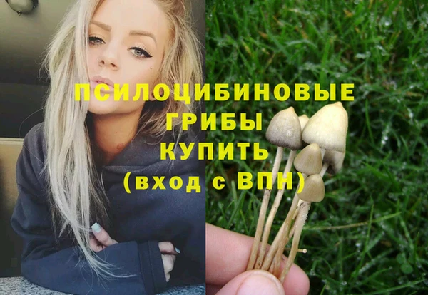 2c-b Касимов