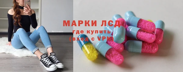 гидра Карпинск