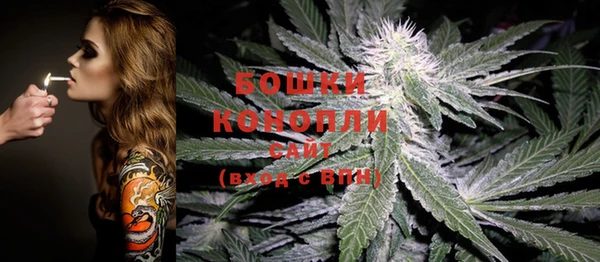 гидра Карпинск