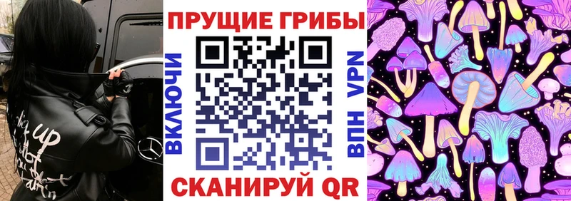 Купить  Дегтярск  Псилоцибиновые грибы прущие грибы 