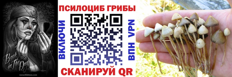 Псилоцибиновые грибы прущие грибы Дегтярск