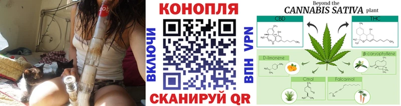 Купить закладки  Дегтярск  Каннабис ГИДРОПОН 